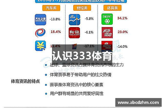 认识333体育